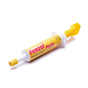 Fenzol Pasta - 10g