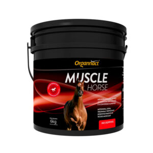 Muscle Horse - 6kg