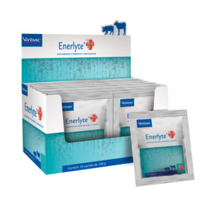 Enerlyte Plus - 100g